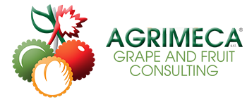 Agrimeca Grape & Fruit Consulting srl
